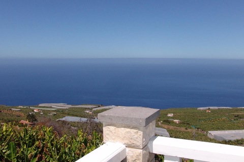 Appartementen Finca Casita Jardin - inclusief huurauto foto 8