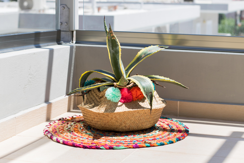 Appartementen Three Stars foto 16