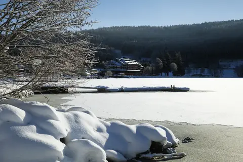 Kerst in het Zwarte Woud, Endingen in Endingen am Kaiserstuhl, foto 14