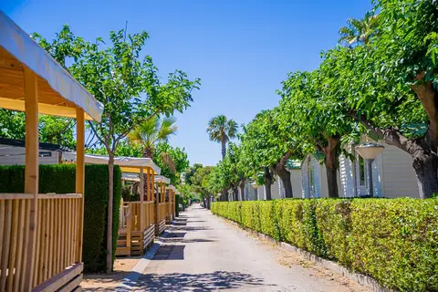 Camping & Bungalow Park Platja Cambrils in Calafell — foto 3
