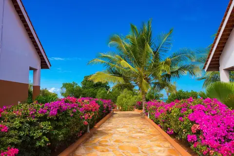 Azao Resort & Spa in Pongwe, foto 30