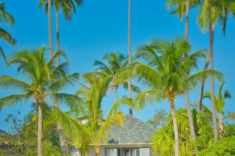 NH Collection Maldives Havodda Resort in ތިނަދޫ — foto 6