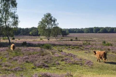 Van der Valk Leusden Amersfoort foto 25