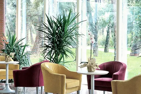 TH Tirrenia - Green Park Resort in Pisa — foto 24