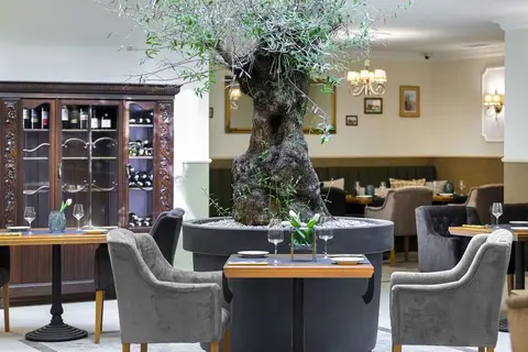Ventus Rosa Boutique ApartHotel in Krakau — foto 8
