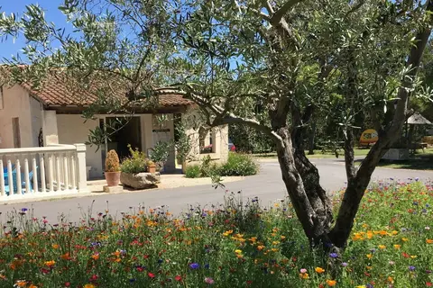 Pégomas in Saint-Rémy-de-Provence — foto 8