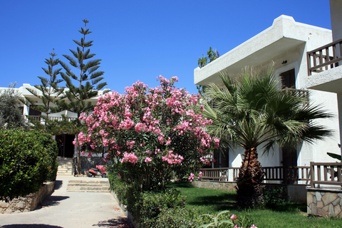 Hotel Valley Village foto 23