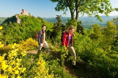 Parkhotel Landau foto 19