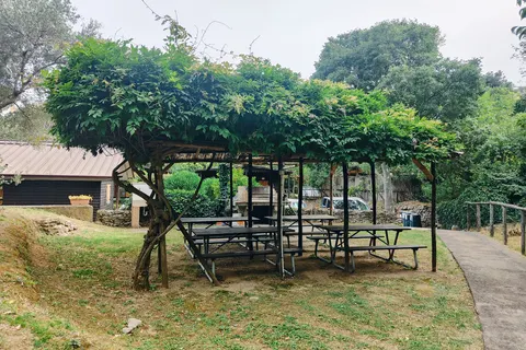 Caravelle Camping Village foto 17