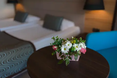 Astera Hotel & SPA in Gold Beach, foto 26