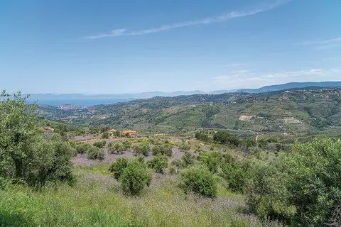 Residence Villa Rosi Luxury Dependance in Laureana Cilento — foto 12