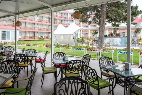 Flamingo Beach Hotel in Несебър — foto 3