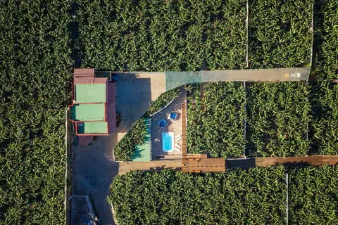 Hacienda La Dehesa in Buenavista del Norte — foto 15