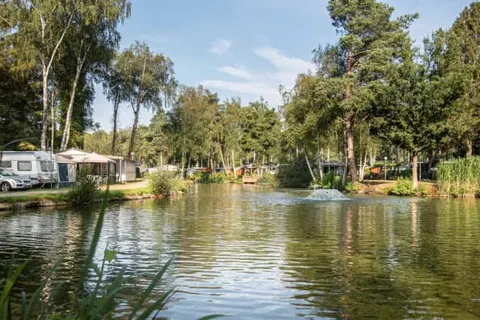 Camping Zavelbos foto 1