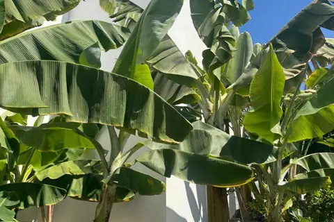 Hotel Malibu Park in Adeje — foto 9