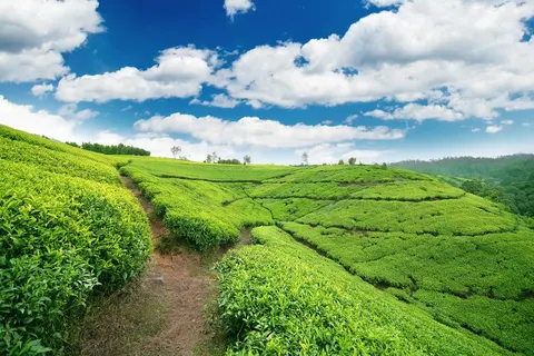 22-daagse rondreis Grand Tour Sri Lanka in Kelebokka — foto 3