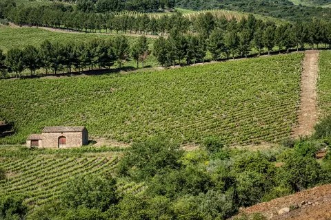 Relais Abbazia Santa Anastasia in Castelbuono — foto 5