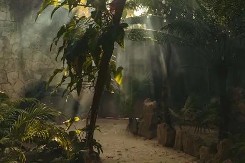 Ether Tulum in Cancún — foto 14