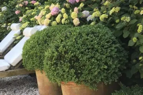 Bed & Breakfast De Roos foto 14