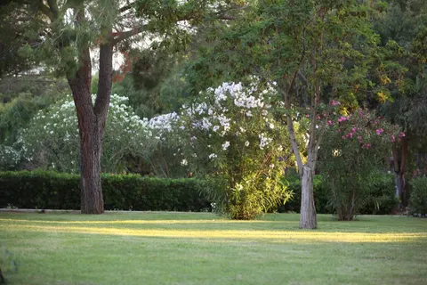 Village Il Girasole foto 5