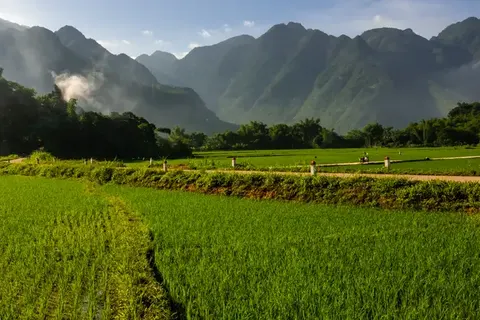 Perfect Match Singapore & Vietnam in Singapore — foto 6