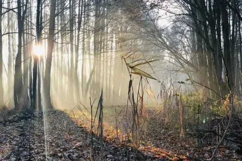 &ampapos;t Wapen van Marion foto 34