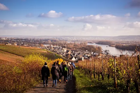 Kerstcruise Duitsland in Stendal — foto 10