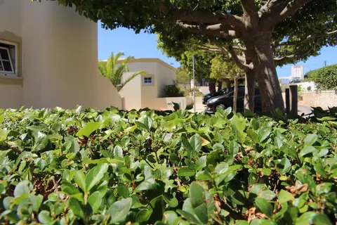 Vila do Castelo in Albufeira — foto 5