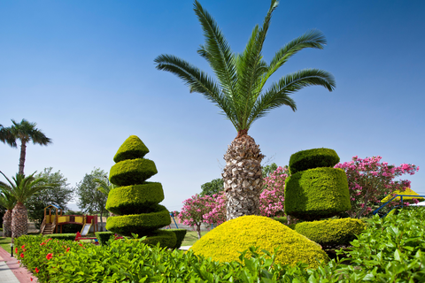 Aparthotel Corali foto 12