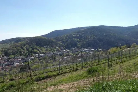 St. Martiner Castell foto 11