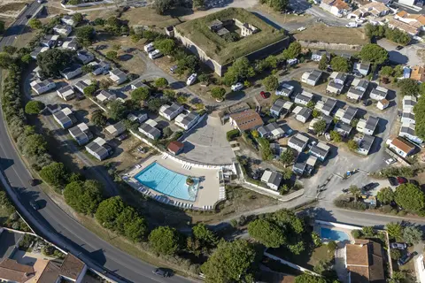 Flower Le Platin Redoute in Rivedoux-Plage — foto 13