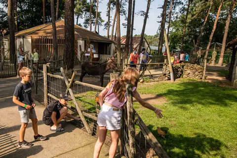 Familiepark Goolderheide in Bocholt — foto 24