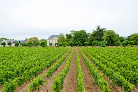 Le Parc De Fierbois in Sainte-Catherine-de-Fierbois — foto 21