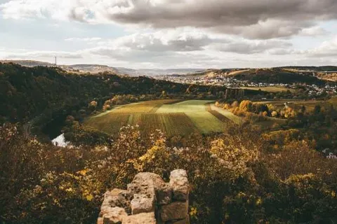 Johannishof Wein-Café & Gästehaus foto 27