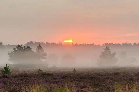 Fietsvakantie De Groote Peel foto 5