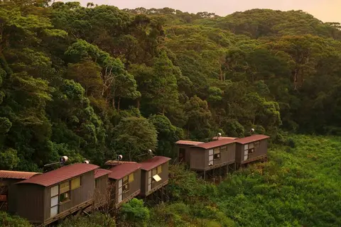Rainforest Eco Lodge in Rainforest Ecolodge