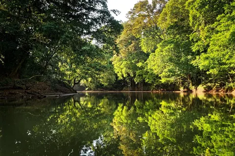 16 dg reis Schatten van Costa Rica excl vlucht in Quesada — foto 5