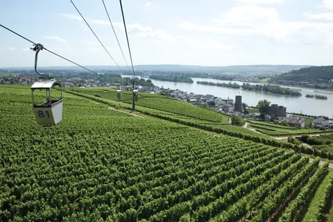 Hotel Felsenkeller in Rüdesheim am Rhein — foto 21
