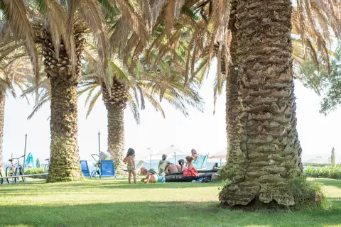 Camping Castello in Δημοτική Ενότητα Σιθωνίας — foto 7
