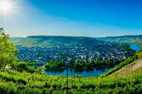 Moselhotel Peifer foto 22