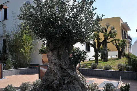 Costa Hotel in Castellammare di Stabia — foto 27