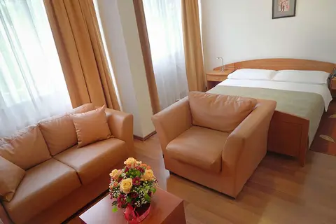 Hotel Srbija A.D. in Vozdovac Urban Municipality, foto 4