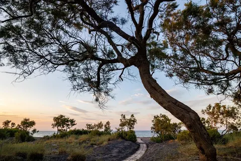 Scorpios Beach foto 4