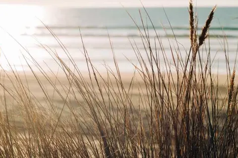 West Bay Hotel foto 20