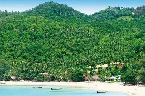 Havana Beach Resort in เกาะพะงัน — foto 3