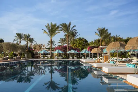 Desert Rose in Hurghada