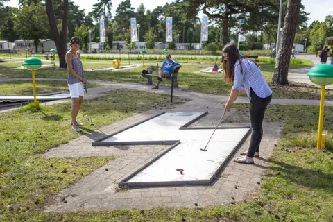 Vakantiepark Zilverstrand foto 3