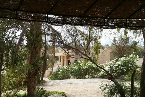 Mangrove Bay Resort in القصير — foto 20