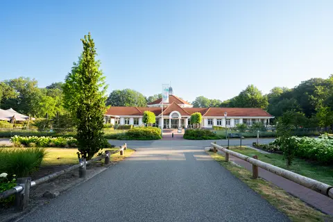 Ferienresort Bad Bentheim in Benthem — foto 34