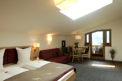 Appartementen Jagdhof in Mayrhofen — foto 9